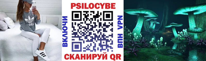 mega ТОР Лянтор Псилоцибиновые грибы мицелий